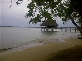 �p�i�}�̃��]�[�g